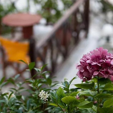 Hotel Astromeria 3*