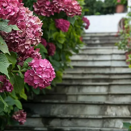 Astromeria Hotel Makrirrákhi
