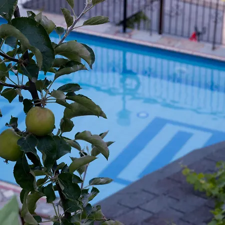 Hotel Astromeria 3*