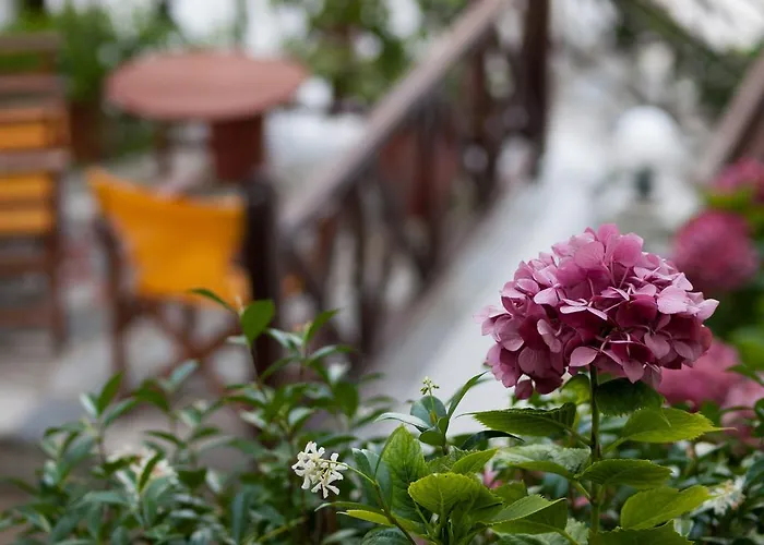 Szálloda Astromeria 3*