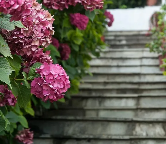 Astromeria Hotel Makrirrakhi